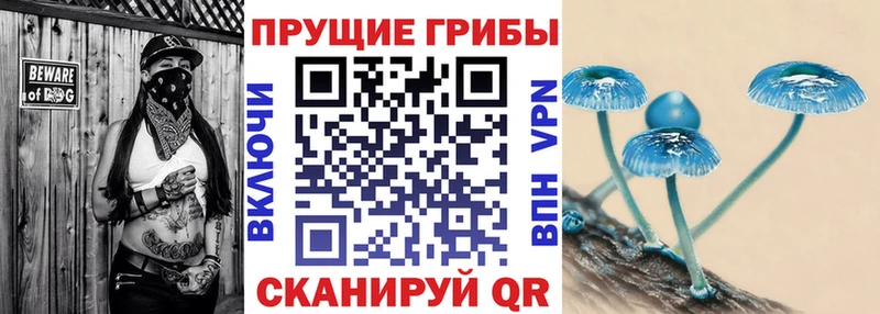 Галлюциногенные грибы мухоморы  Светлоград 